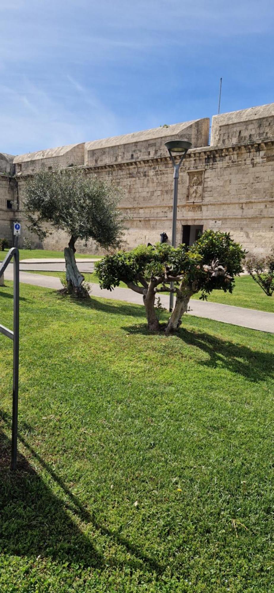 Md House Bed & Breakfast Civitavecchia Exterior foto